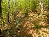 Stara Fužina - Planina Vodični vrh